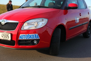 Fabia detail